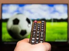 俄轻型飞机,紧急着陆致,人遇难,今日足球比分,足球赛事平台,足球比赛比分,足球赛事数据,足球赛事信息