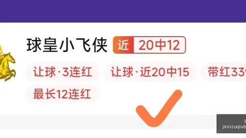 2026前瞻巴西甲赛事解析：巴拉纳竞技巴西国际深度分析